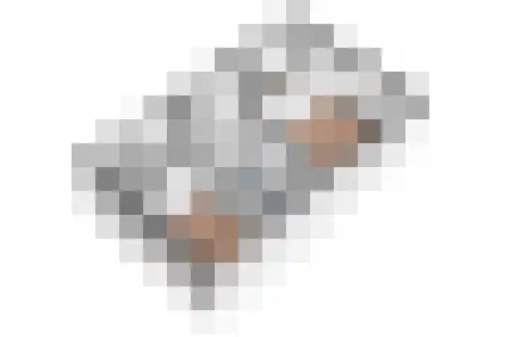 Dr. ten Bokkel Huininkweg 28 Lochem thumbnail 30