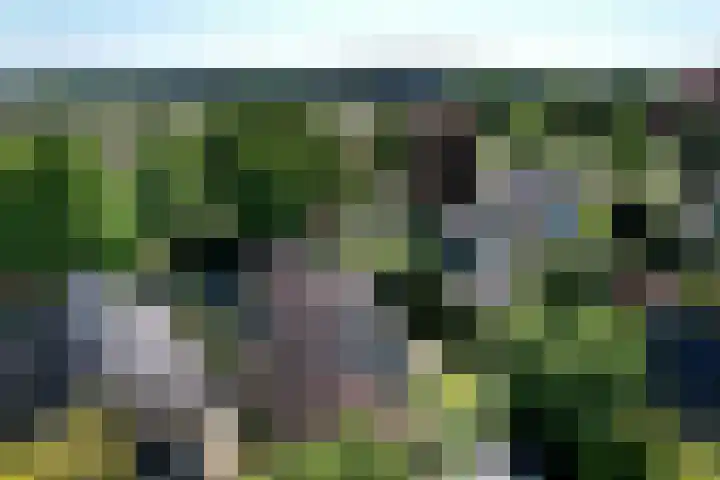 Dr. ten Bokkel Huininkweg 28 Lochem thumbnail 4