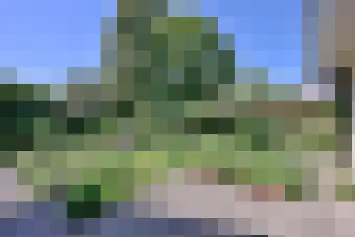 Dr. ten Bokkel Huininkweg 28 Lochem thumbnail 44