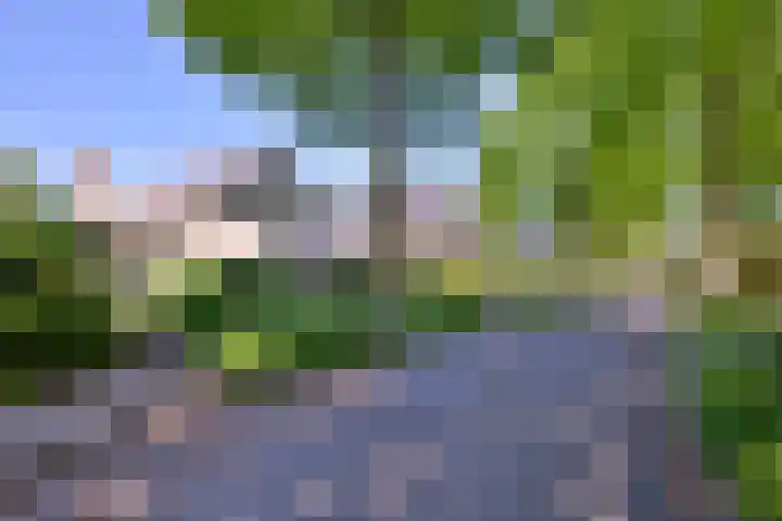 Dr. ten Bokkel Huininkweg 28 Lochem thumbnail 47