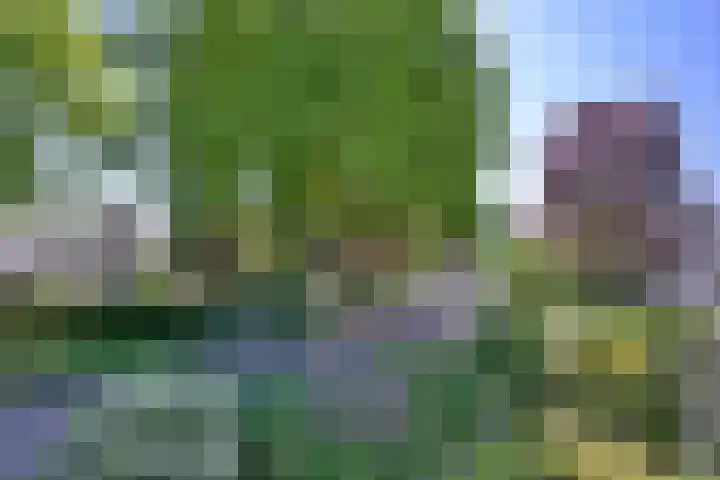 Dr. ten Bokkel Huininkweg 28 Lochem thumbnail 49