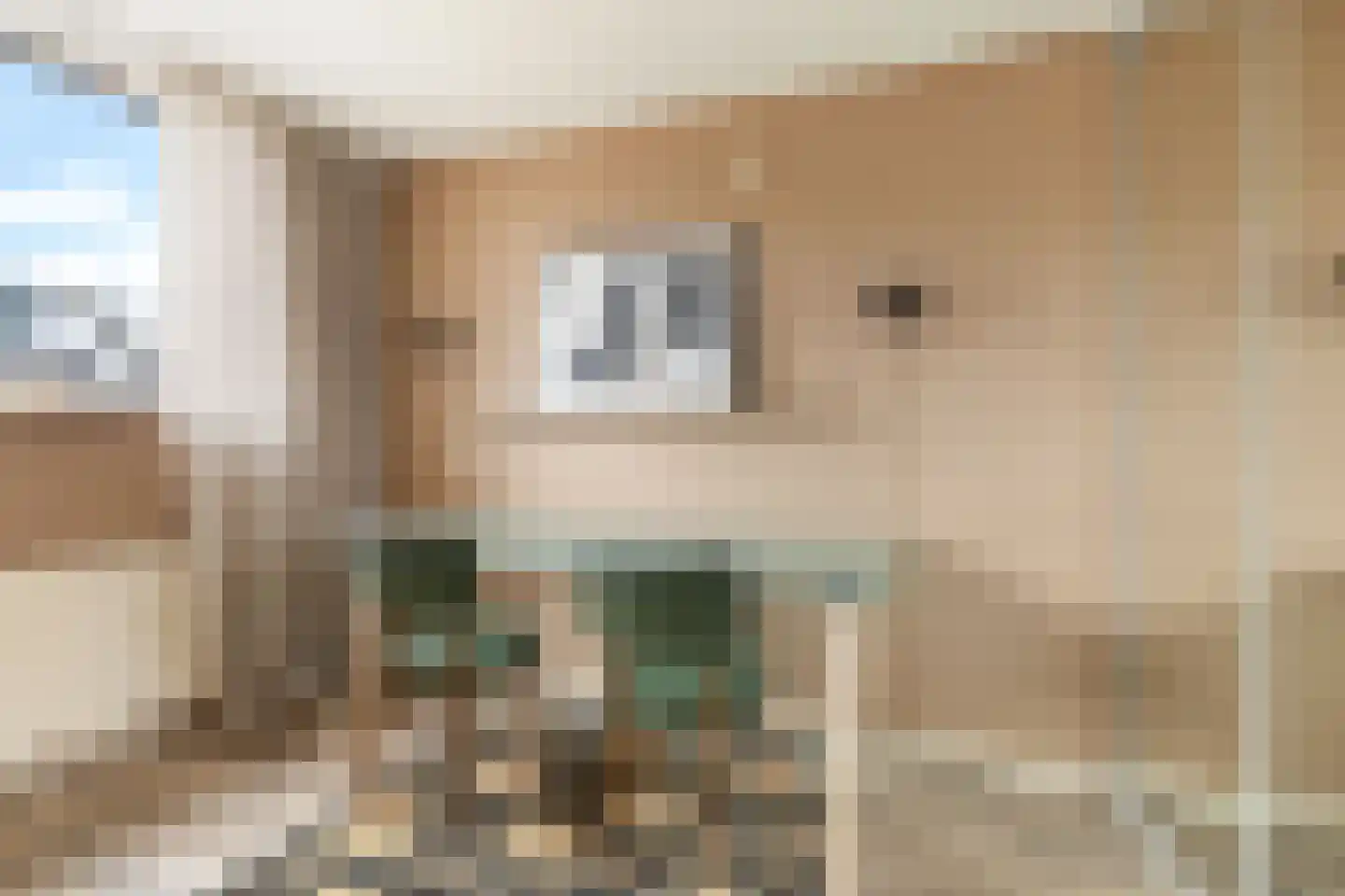 Dr. ten Bokkel Huininkweg 28 Lochem thumbnail 5