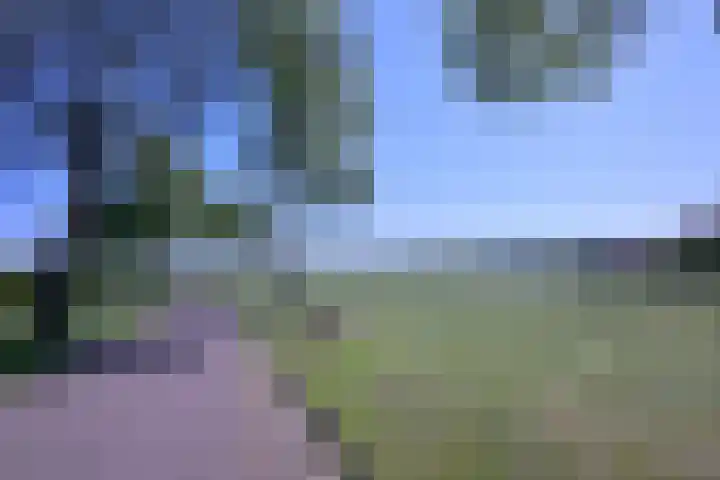 Dr. ten Bokkel Huininkweg 28 Lochem thumbnail 51