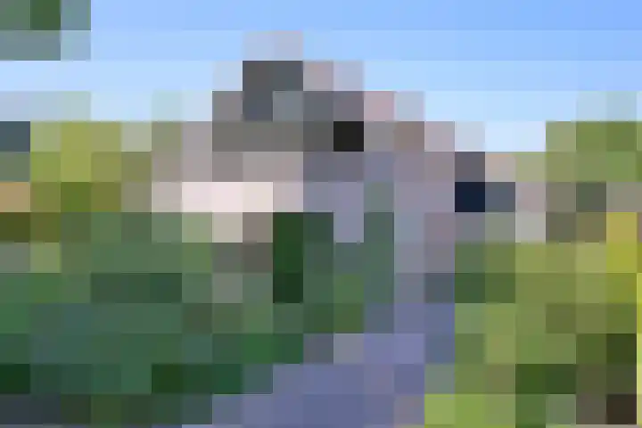 Dr. ten Bokkel Huininkweg 28 Lochem thumbnail 55