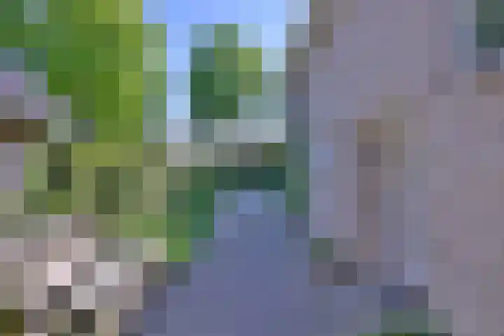 Dr. ten Bokkel Huininkweg 28 Lochem thumbnail 6