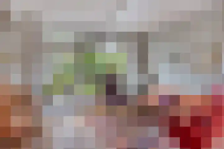 Dr. ten Bokkel Huininkweg 9 Lochem thumbnail 16