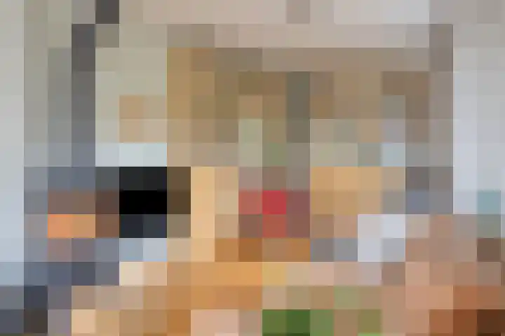 Dr. ten Bokkel Huininkweg 9 Lochem thumbnail 18