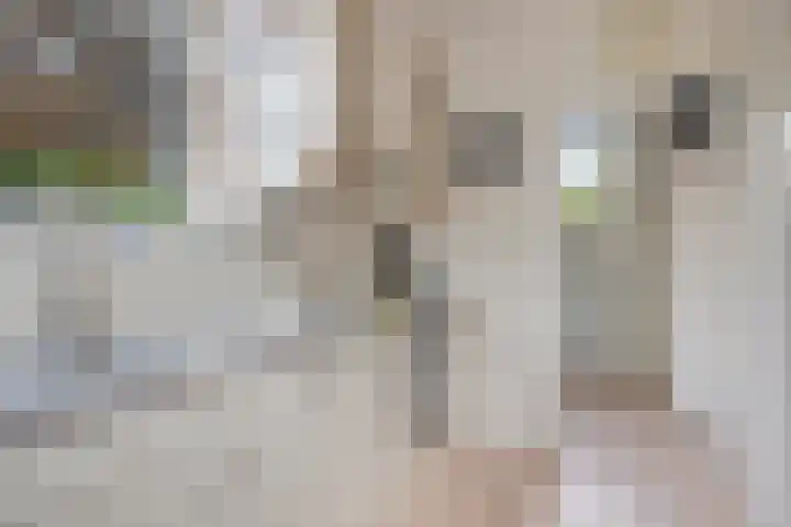 Dr. ten Bokkel Huininkweg 9 Lochem thumbnail 24