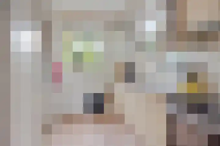 Dr. ten Bokkel Huininkweg 9 Lochem thumbnail 25