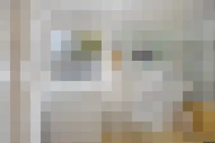 Dr. ten Bokkel Huininkweg 9 Lochem thumbnail 31