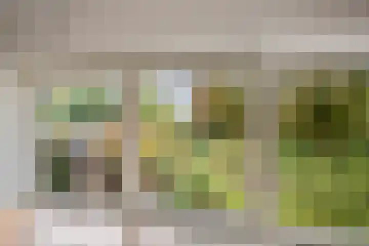 Dr. ten Bokkel Huininkweg 9 Lochem thumbnail 35