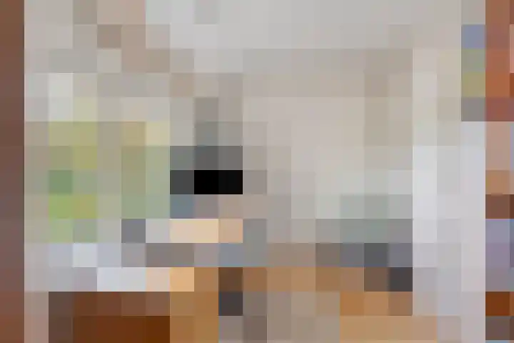 Dr. ten Bokkel Huininkweg 9 Lochem thumbnail 36