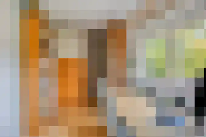 Dr. ten Bokkel Huininkweg 9 Lochem thumbnail 37