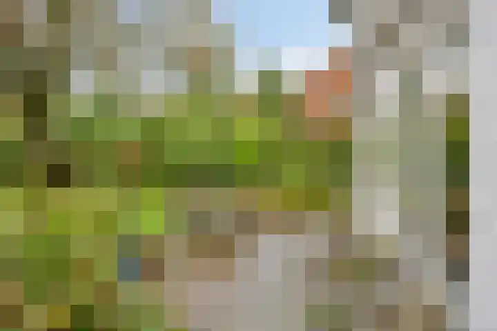 Dr. ten Bokkel Huininkweg 9 Lochem thumbnail 39