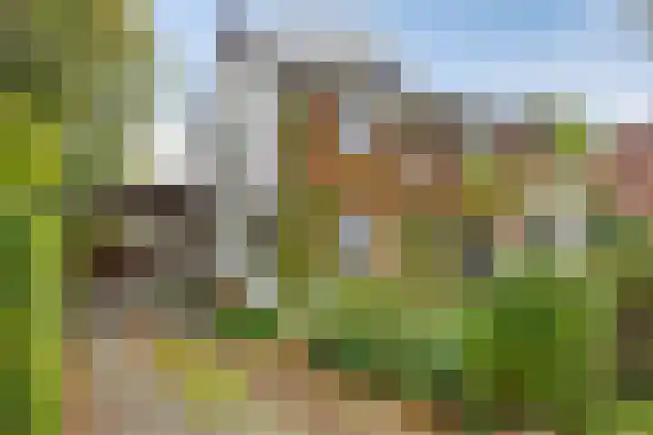 Dr. ten Bokkel Huininkweg 9 Lochem thumbnail 4