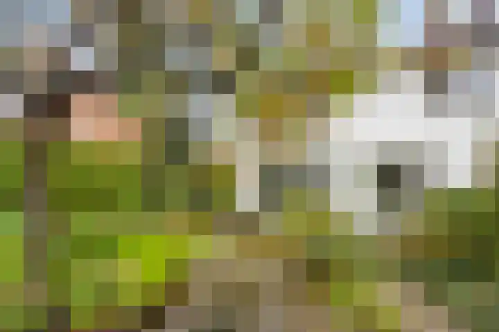 Dr. ten Bokkel Huininkweg 9 Lochem thumbnail 41