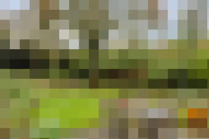 Dr. ten Bokkel Huininkweg 9 Lochem thumbnail 42