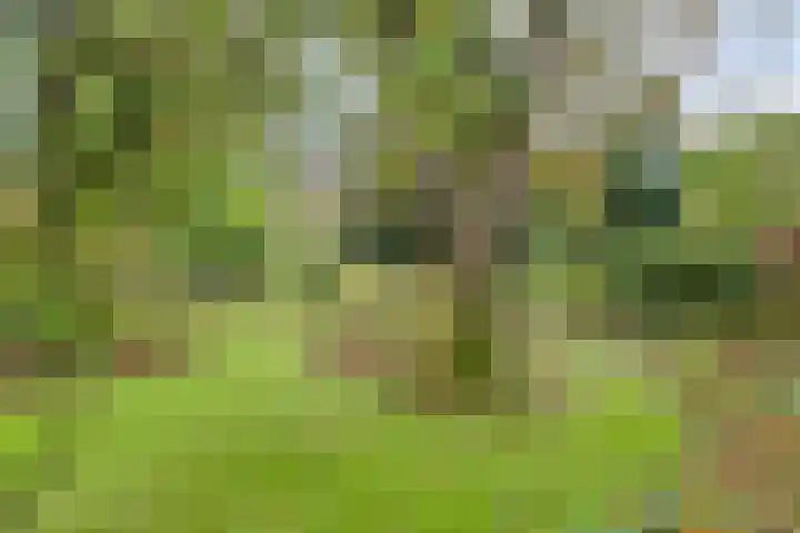 Dr. ten Bokkel Huininkweg 9 Lochem thumbnail 43