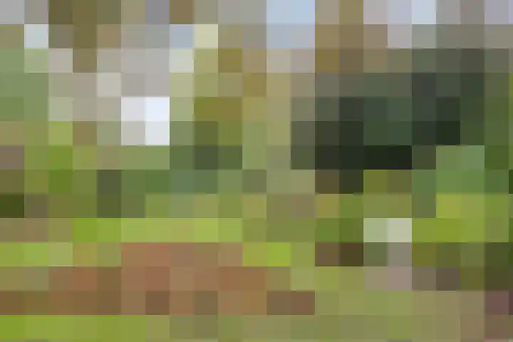 Dr. ten Bokkel Huininkweg 9 Lochem thumbnail 44