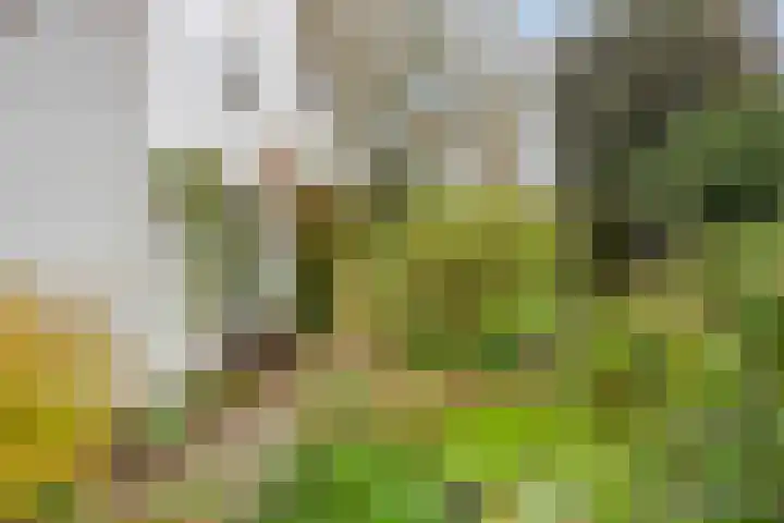 Dr. ten Bokkel Huininkweg 9 Lochem thumbnail 46