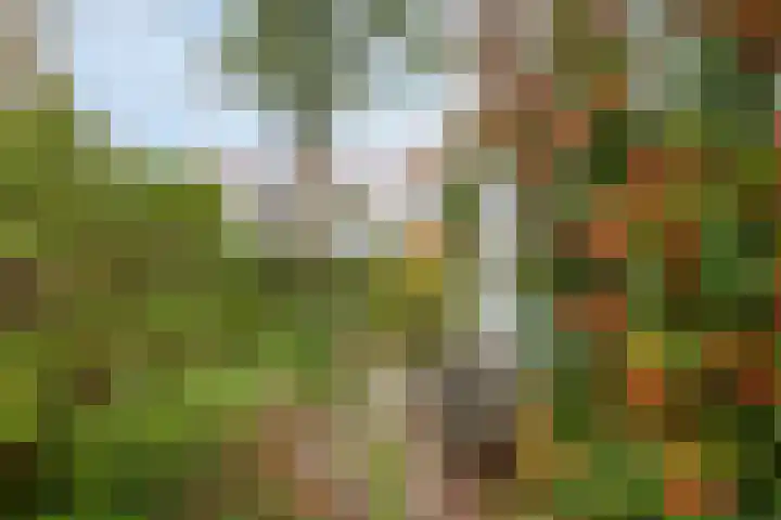 Dr. ten Bokkel Huininkweg 9 Lochem thumbnail 47