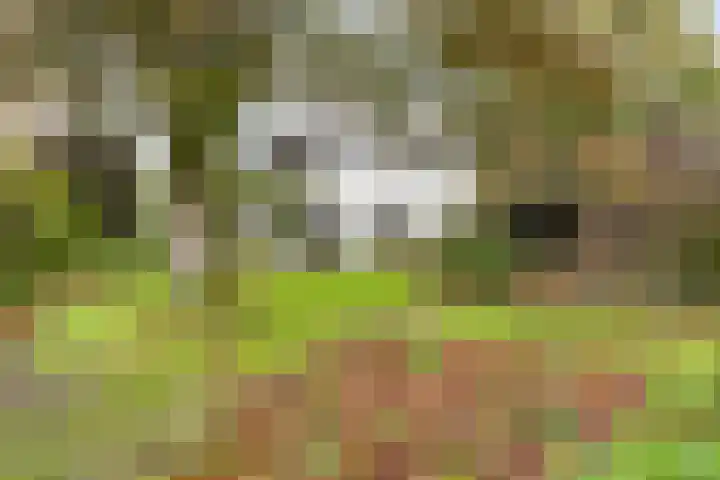 Dr. ten Bokkel Huininkweg 9 Lochem thumbnail 48