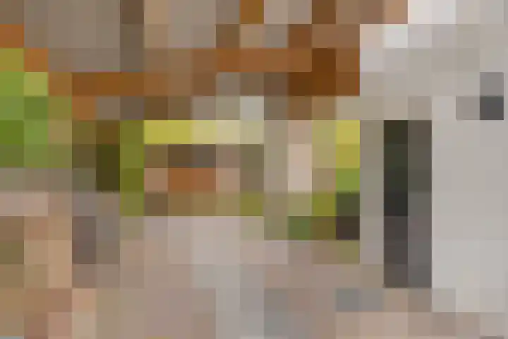 Dr. ten Bokkel Huininkweg 9 Lochem thumbnail 5