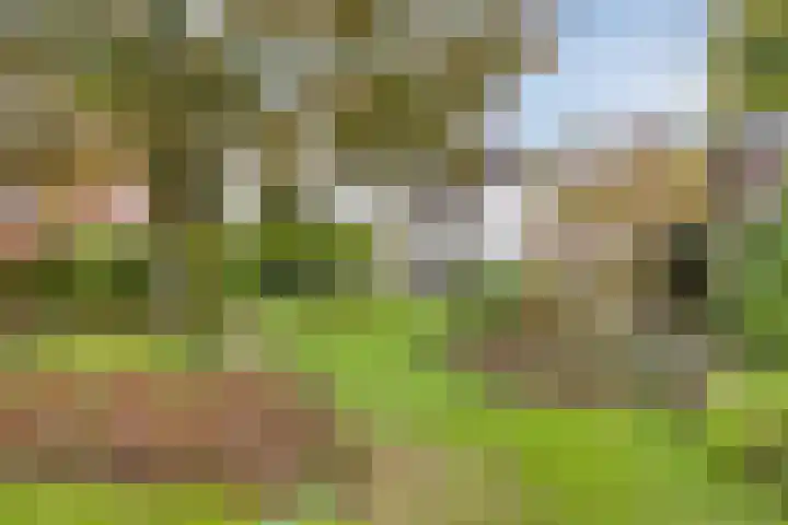 Dr. ten Bokkel Huininkweg 9 Lochem thumbnail 50
