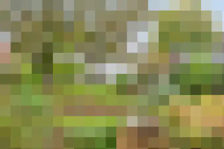 Dr. ten Bokkel Huininkweg 9 Lochem thumbnail 51