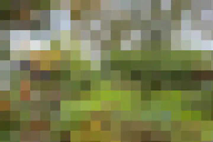 Dr. ten Bokkel Huininkweg 9 Lochem thumbnail 52