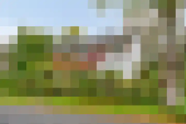 Dr. ten Bokkel Huininkweg 9 Lochem thumbnail 53