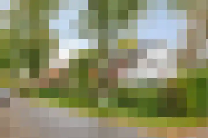 Dr. ten Bokkel Huininkweg 9 Lochem thumbnail 54