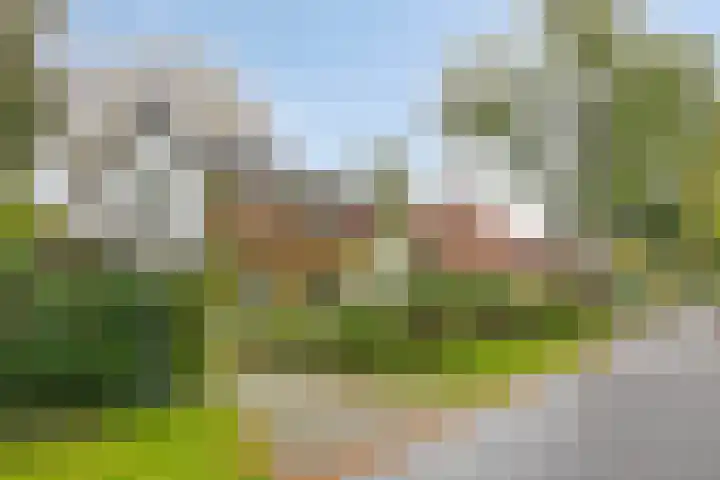 Dr. ten Bokkel Huininkweg 9 Lochem thumbnail 55