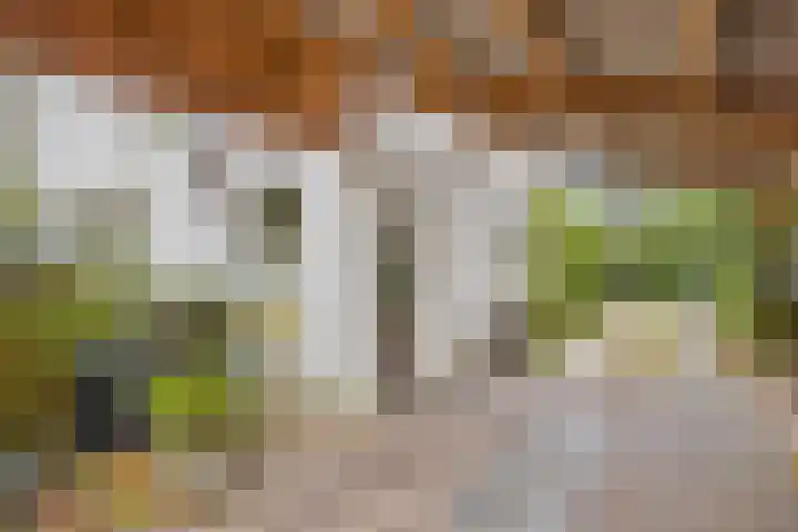 Dr. ten Bokkel Huininkweg 9 Lochem thumbnail 6