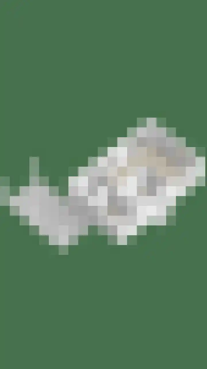 Dr. ten Bokkel Huininkweg 9 Lochem thumbnail 65