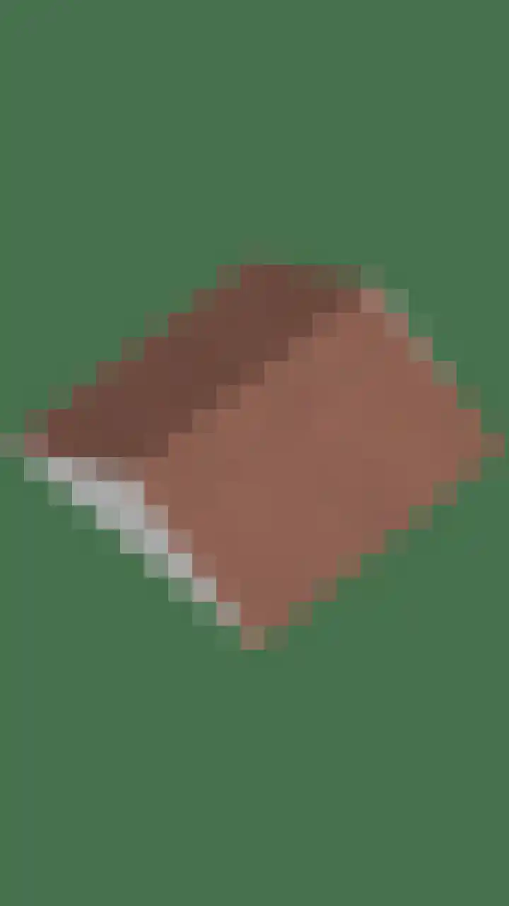 Dr. ten Bokkel Huininkweg 9 Lochem thumbnail 69