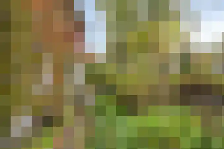 Dr. ten Bokkel Huininkweg 9 Lochem thumbnail 7