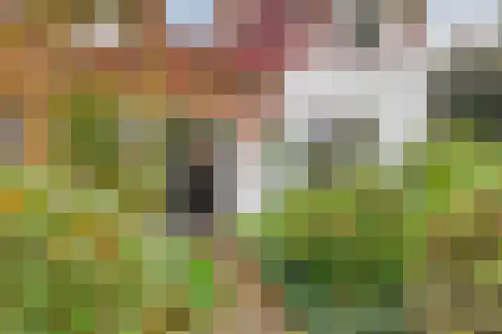 Dr. ten Bokkel Huininkweg 9 Lochem thumbnail 8