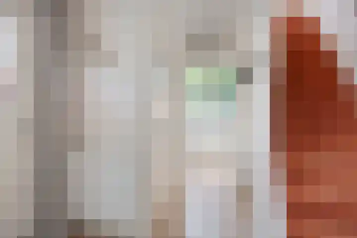 Dr. ten Bokkel Huininkweg 9 Lochem thumbnail 9
