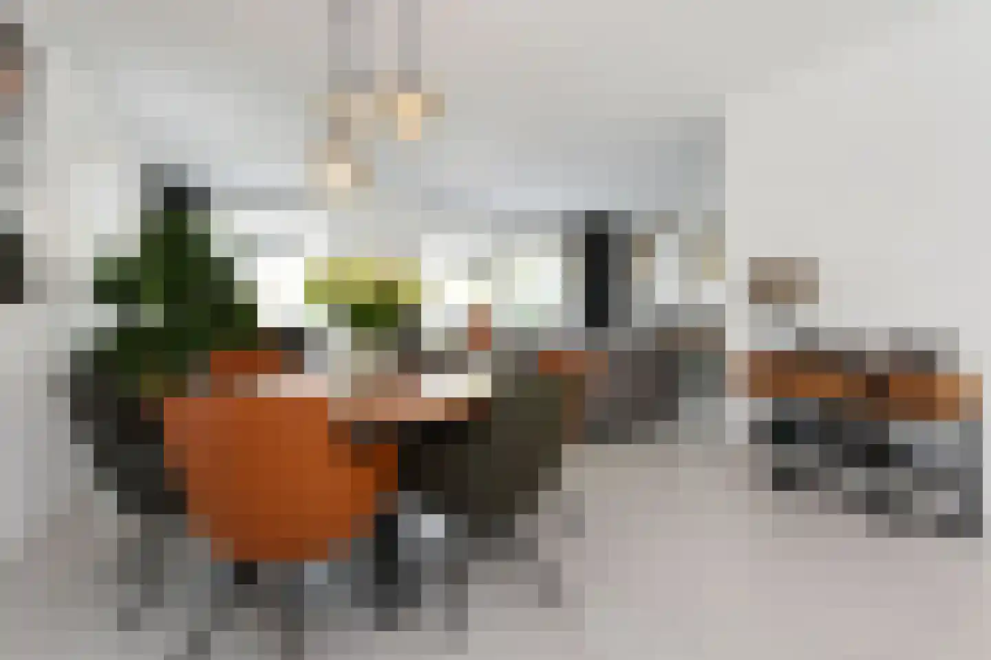 Dr. Ter Haarlaan 28 Poeldijk thumbnail 10