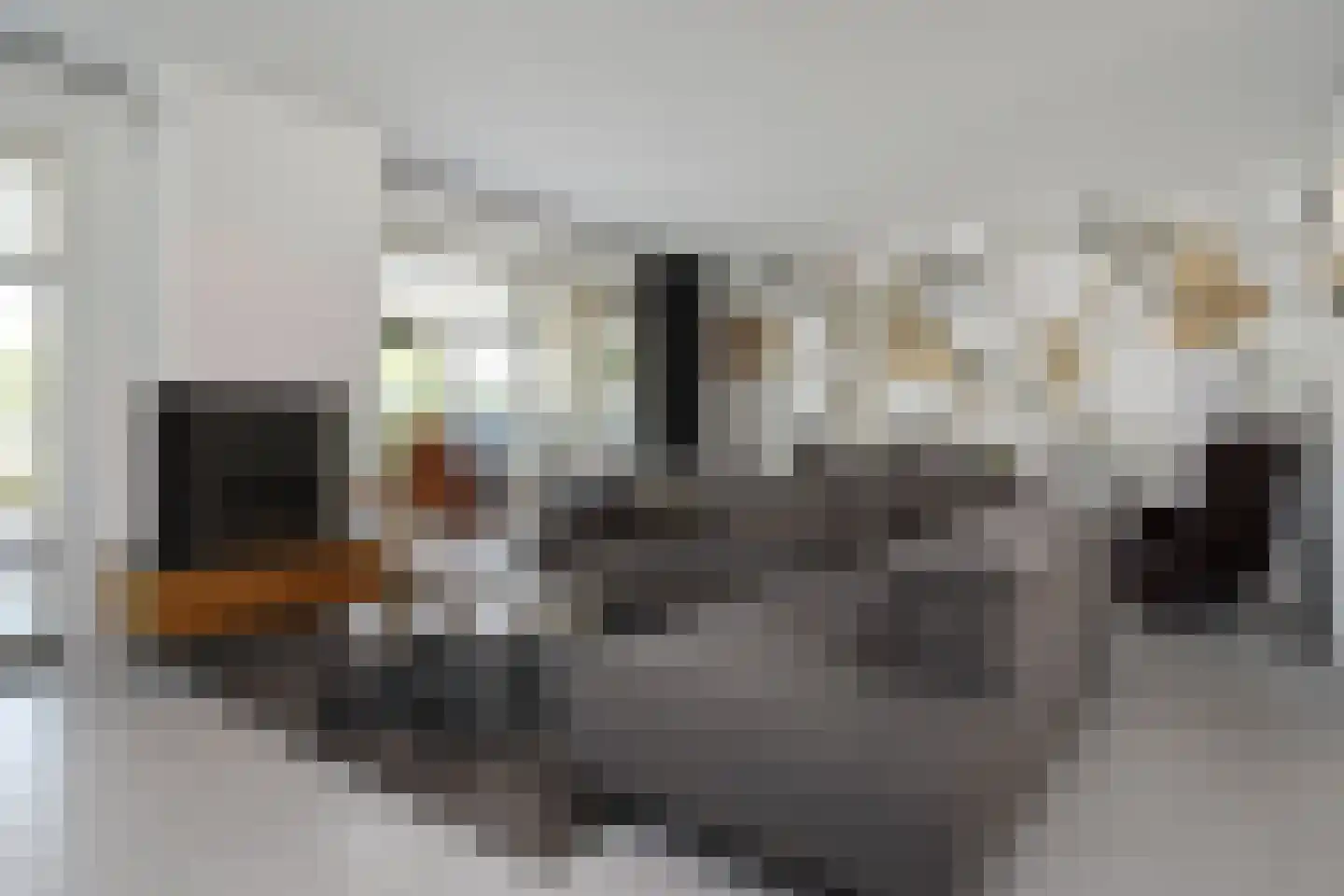 Dr. Ter Haarlaan 28 Poeldijk thumbnail 12