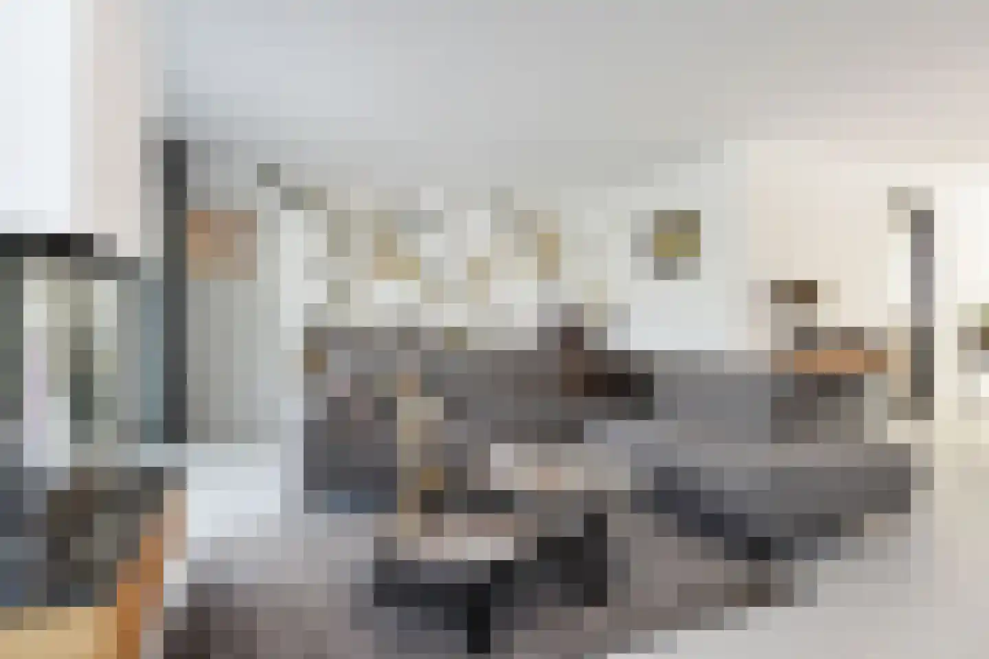 Dr. Ter Haarlaan 28 Poeldijk thumbnail 13