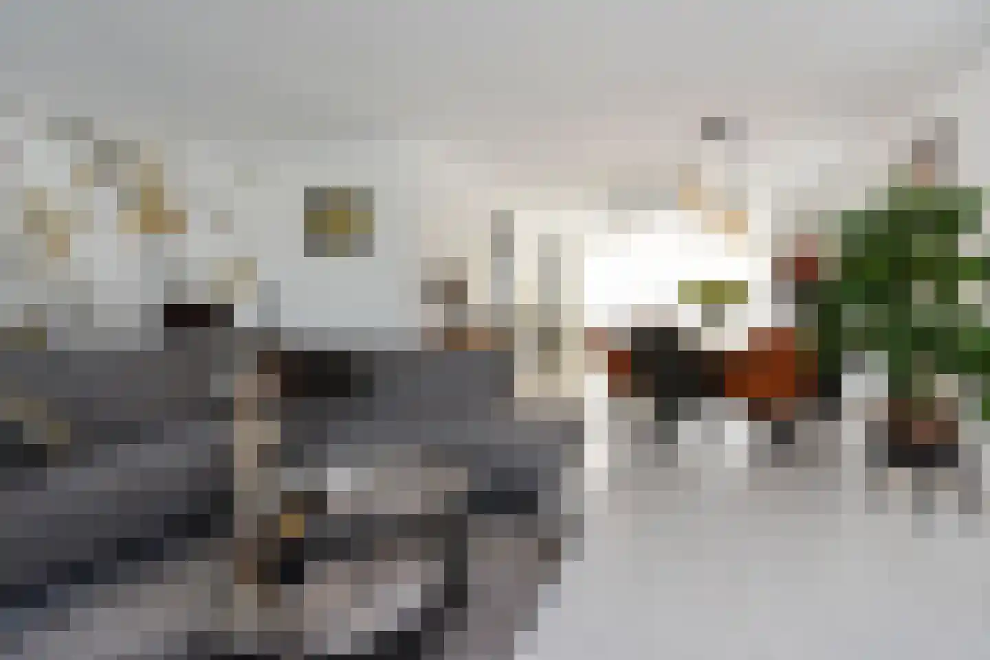 Dr. Ter Haarlaan 28 Poeldijk thumbnail 14
