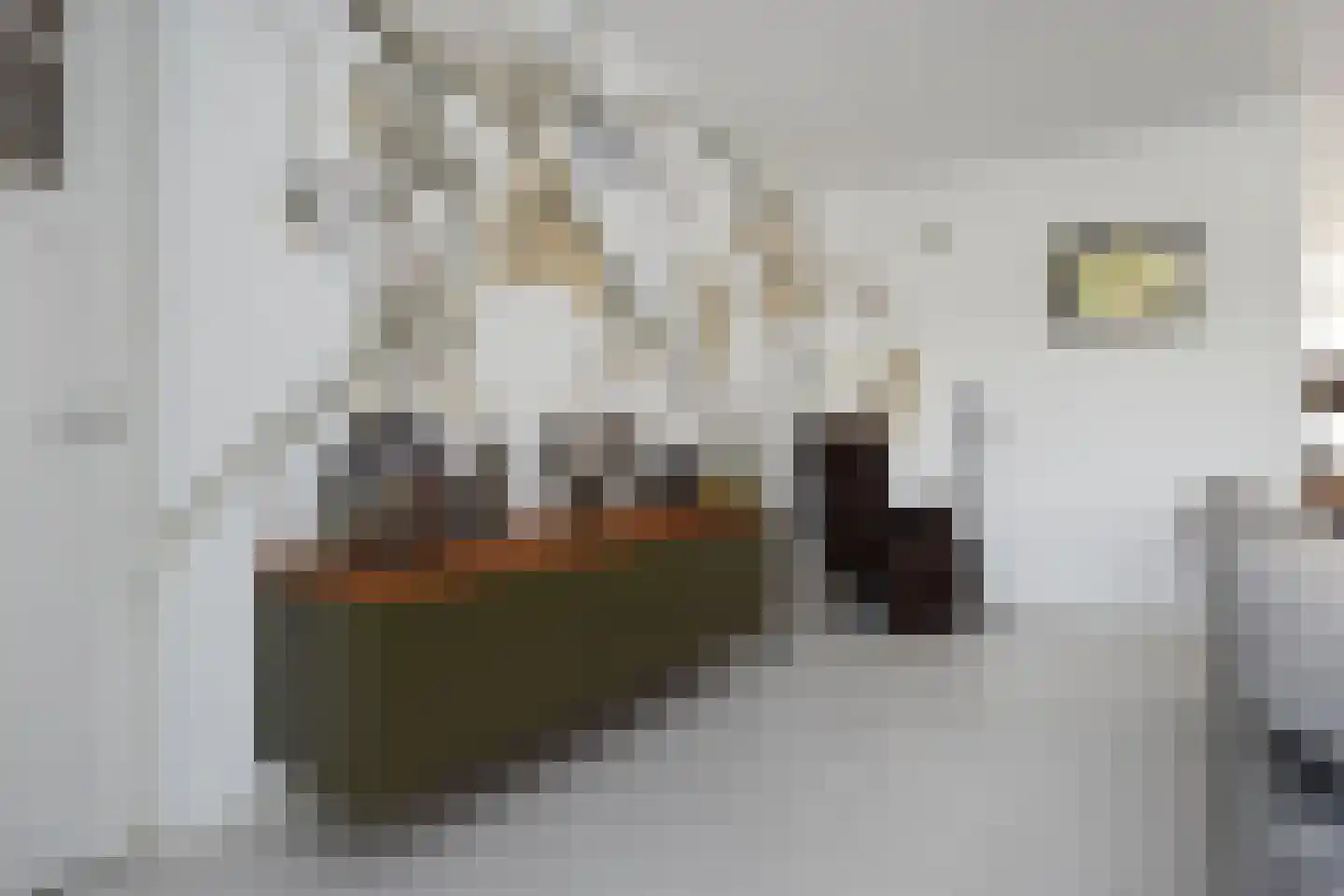 Dr. Ter Haarlaan 28 Poeldijk thumbnail 15