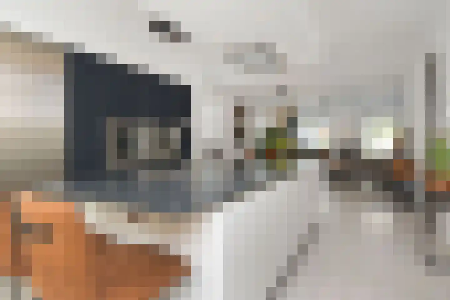 Dr. Ter Haarlaan 28 Poeldijk thumbnail 18