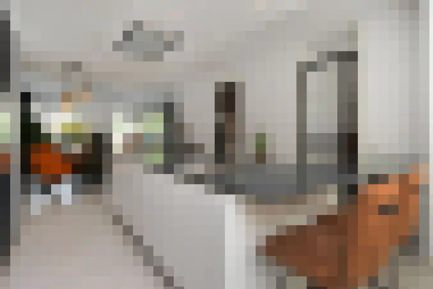 Dr. Ter Haarlaan 28 Poeldijk thumbnail 19