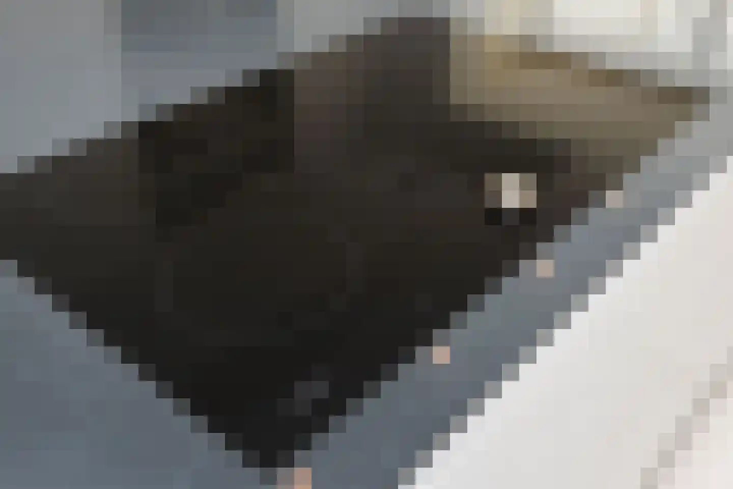 Dr. Ter Haarlaan 28 Poeldijk thumbnail 20