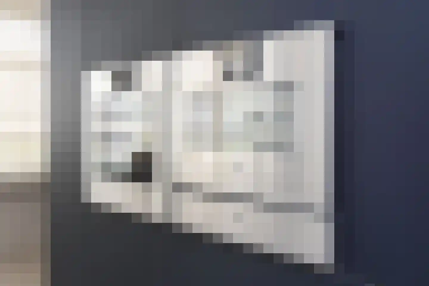 Dr. Ter Haarlaan 28 Poeldijk thumbnail 25