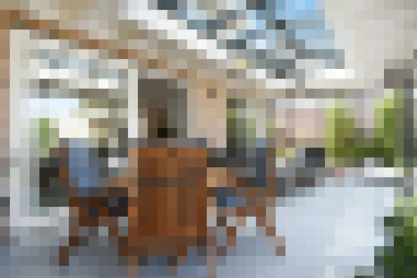 Dr. Ter Haarlaan 28 Poeldijk thumbnail 32