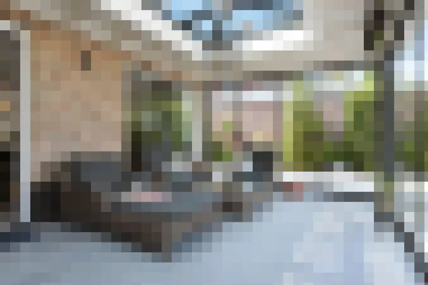 Dr. Ter Haarlaan 28 Poeldijk thumbnail 33